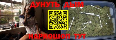 прущие грибы Новокубанск