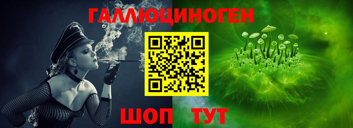 Псилоцибиновые грибы MAGIC MUSHROOMS  Вход с VPN  Ростов-на-Дону 